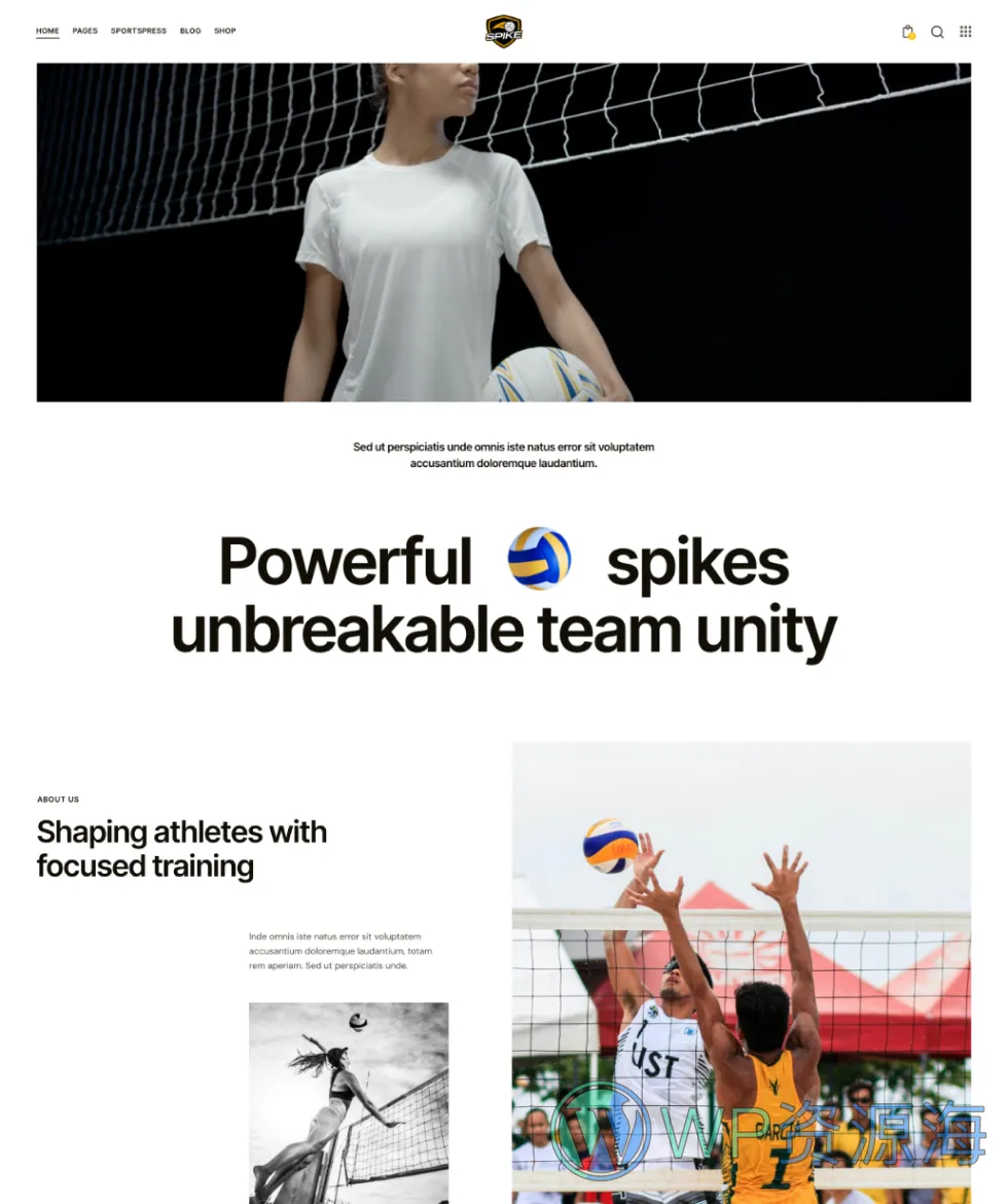 Spike-多功能排球网站模板WordPress主题插图3-WP资源海