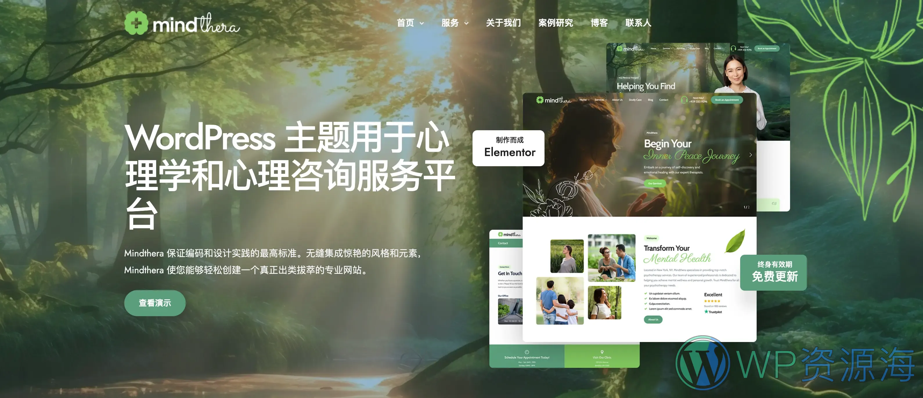 Mindthera-心理咨询心理学网站模板WordPress主题插图1-WP资源海