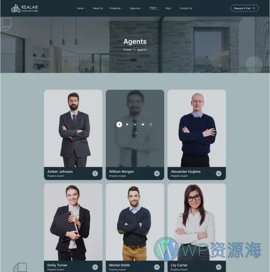Realar-房地产房屋中介公司网站模板WordPress主题插图25-WP资源海