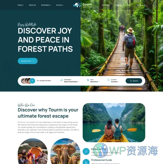 Tourm-超漂亮旅游行业网站模板WordPress主题插图5-WP资源海