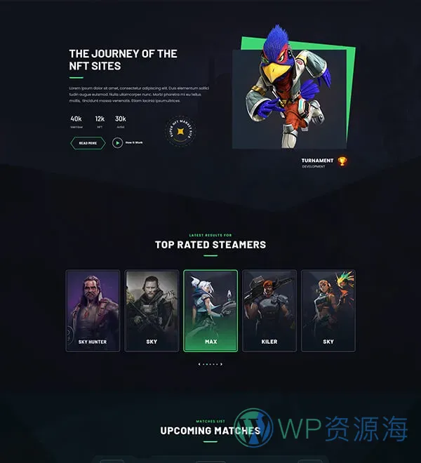 MYKD-炫酷电竞风游戏NFT网站模板WordPress主题插图3-WP资源海