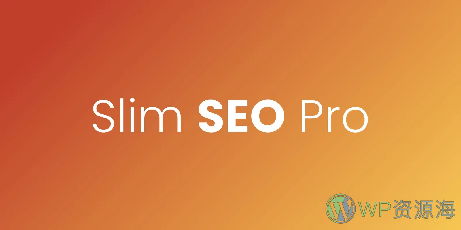 Slim SEO Pro-简单易用备受好评的SEO插件插图-WP资源海