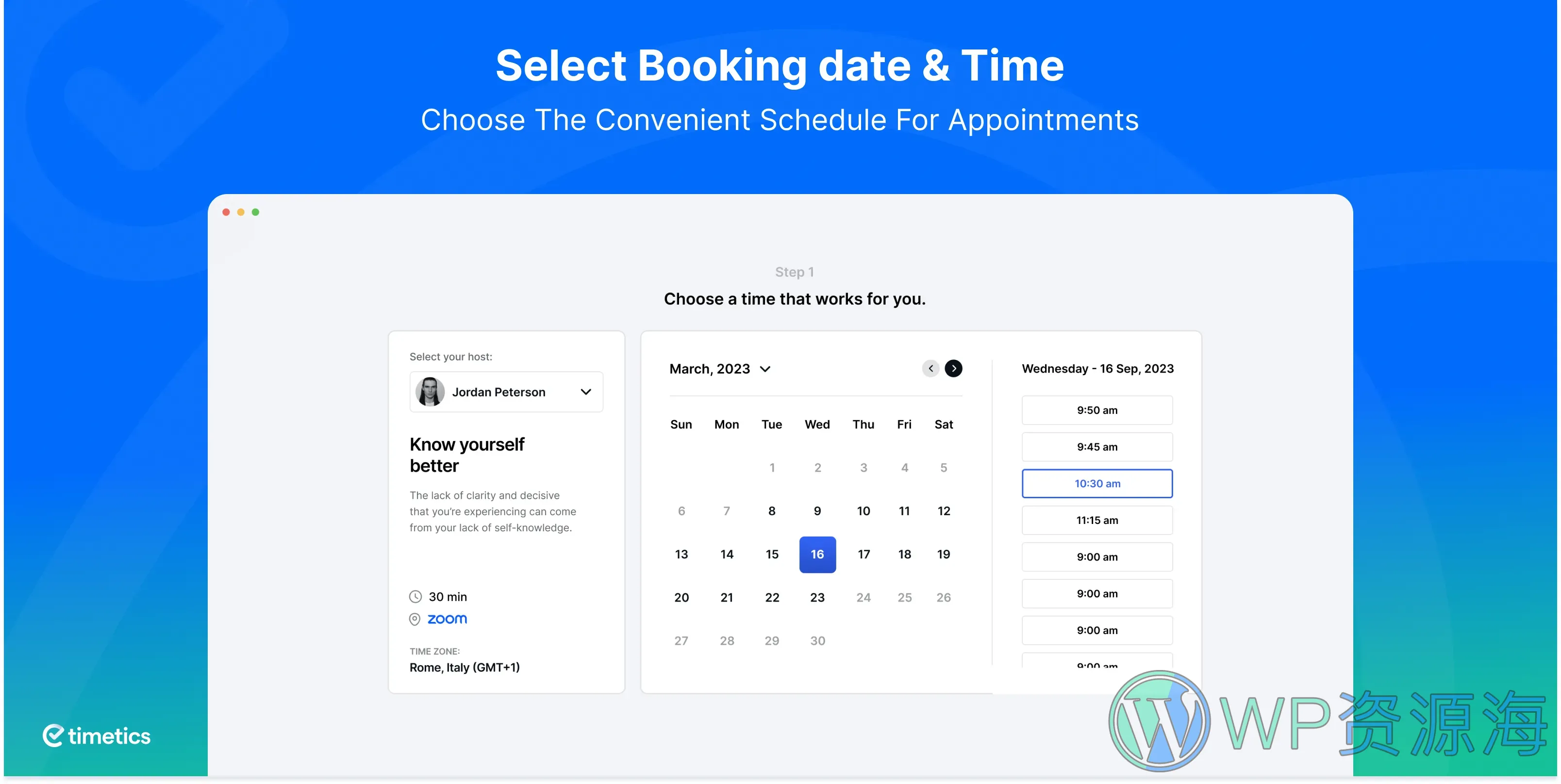 WP Timetics Pro-带AI功能的在线预约管理WordPress插件插图18-WP资源海