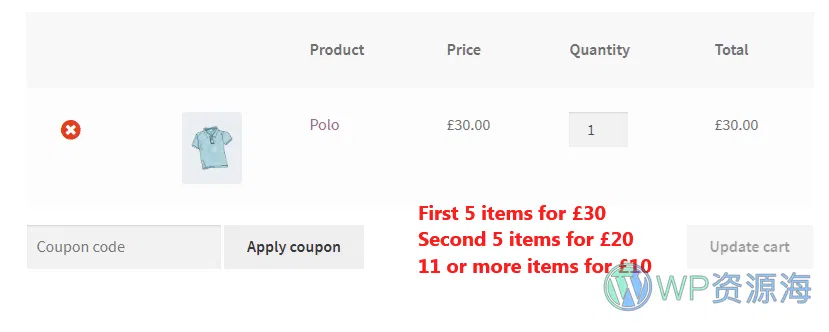 WooCommerce Dynamic Pricing and Discounts 灵活定价与折扣优惠插件插图18-WP资源海