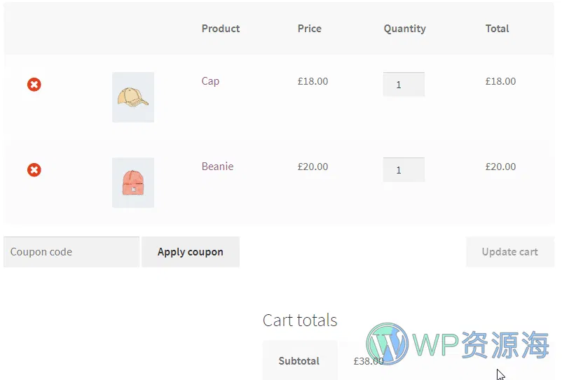 WooCommerce Dynamic Pricing and Discounts 灵活定价与折扣优惠插件插图17-WP资源海