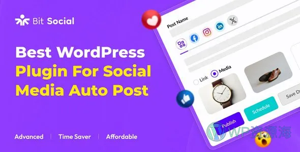 Bit Social Pro-社交媒体自动发步与分享WordPress插件插图-WP资源海