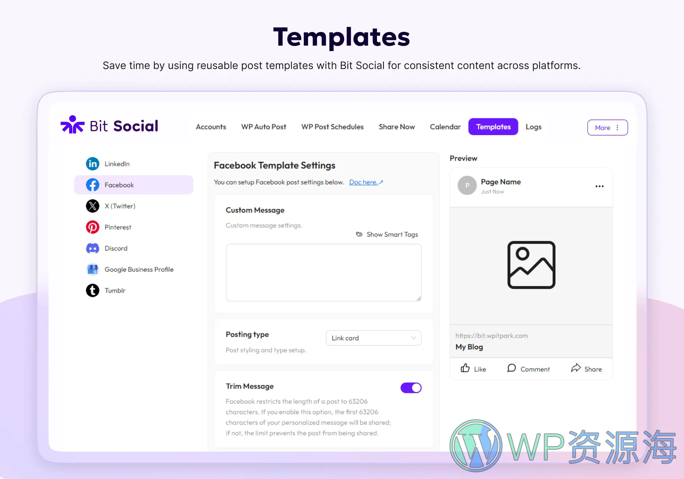 Bit Social Pro-社交媒体自动发步与分享WordPress插件插图8-WP资源海