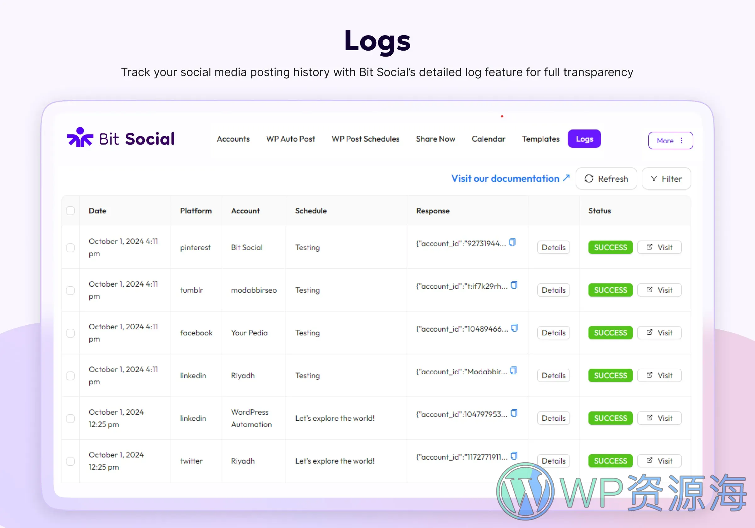 Bit Social Pro-社交媒体自动发步与分享WordPress插件插图9-WP资源海