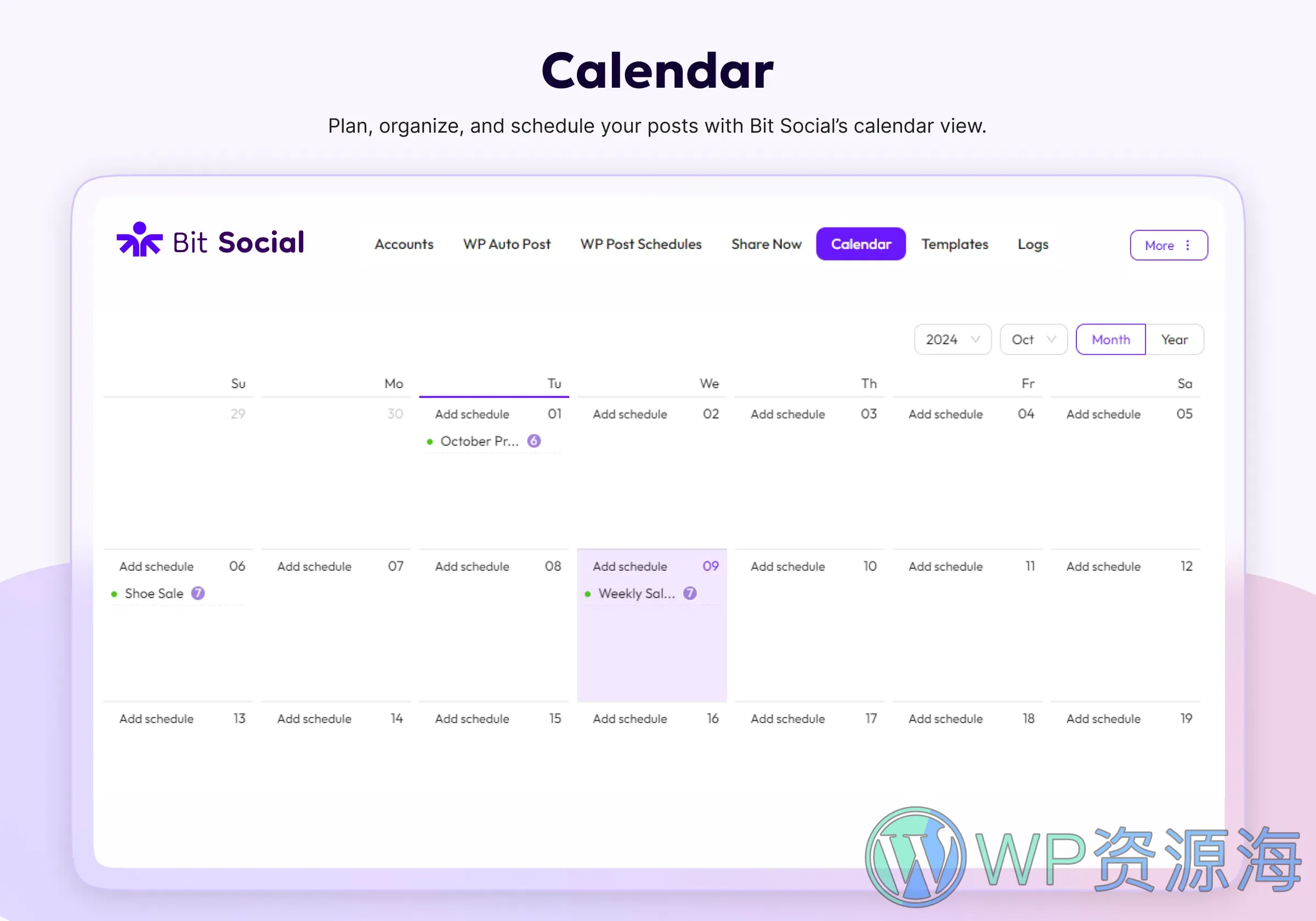 Bit Social Pro-社交媒体自动发步与分享WordPress插件插图7-WP资源海