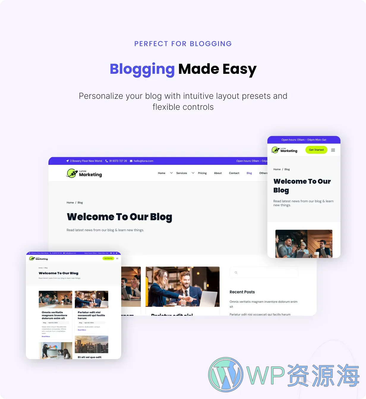 Lunax-网络营销与SEO优化网站模板WordPress主题插图3-WP资源海