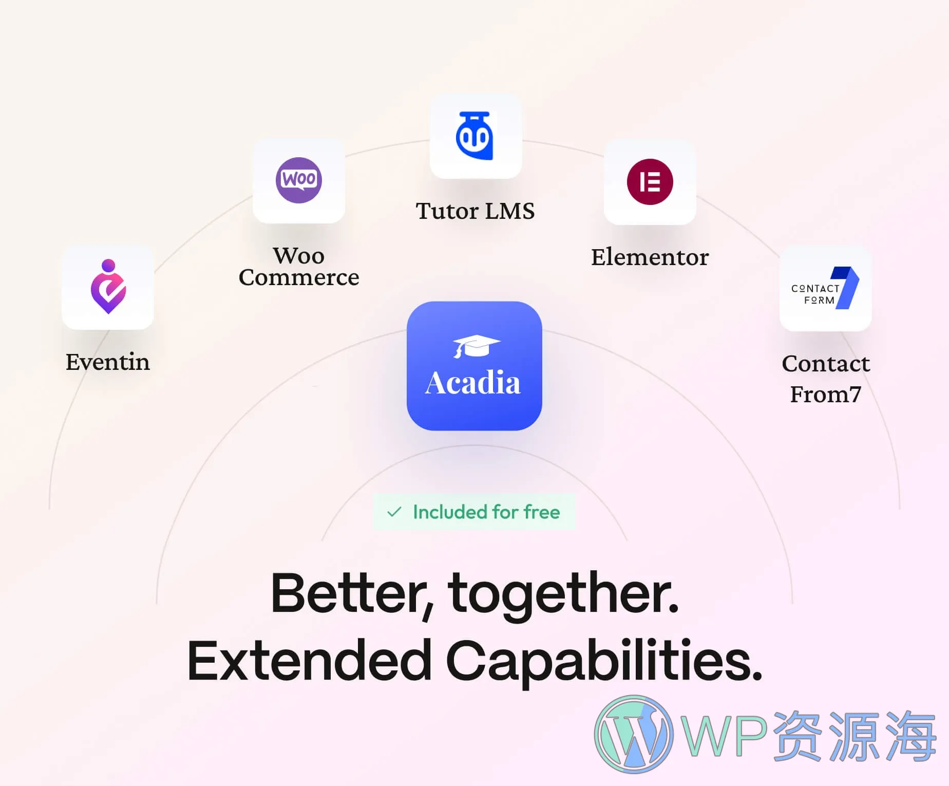 Acadia-教育培训学校大学在线课程WordPress主题插图15-WP资源海