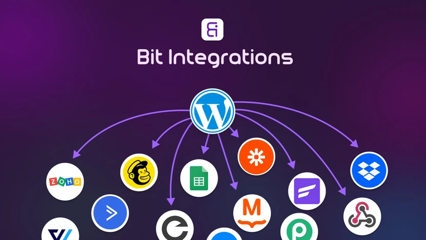 Bit Integrations Pro-超强大多平台自动化WordPress插件
