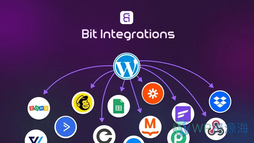 Bit Integrations Pro-超强大多平台自动化WordPress插件插图-WP资源海 Bit Integrations Pro-超强大多平台自动化WordPress插件插图-WP资源海