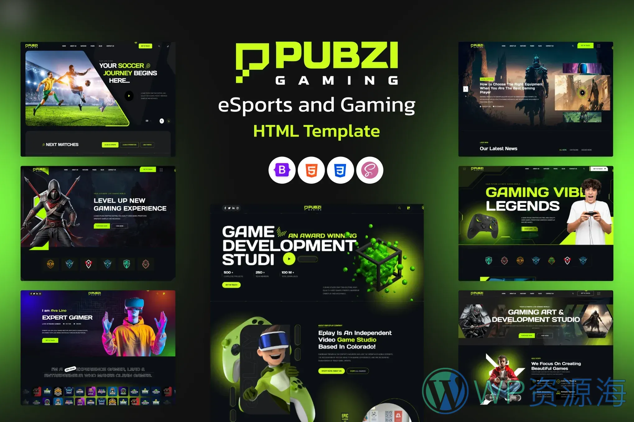 Pubzi – 超酷炫电竞游戏战队工会HTML网站模板插图-WP资源海