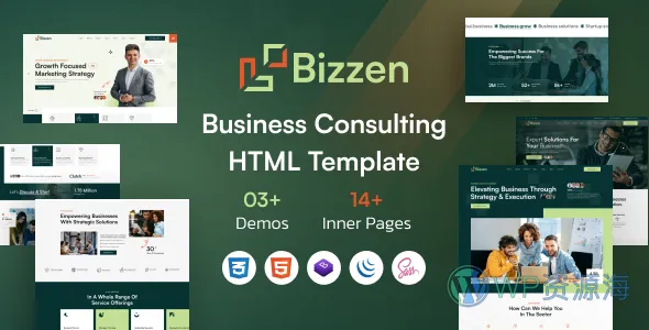 Bizzen 商务咨询网站模板插图-WP资源海 Bizzen 商务咨询网站模板