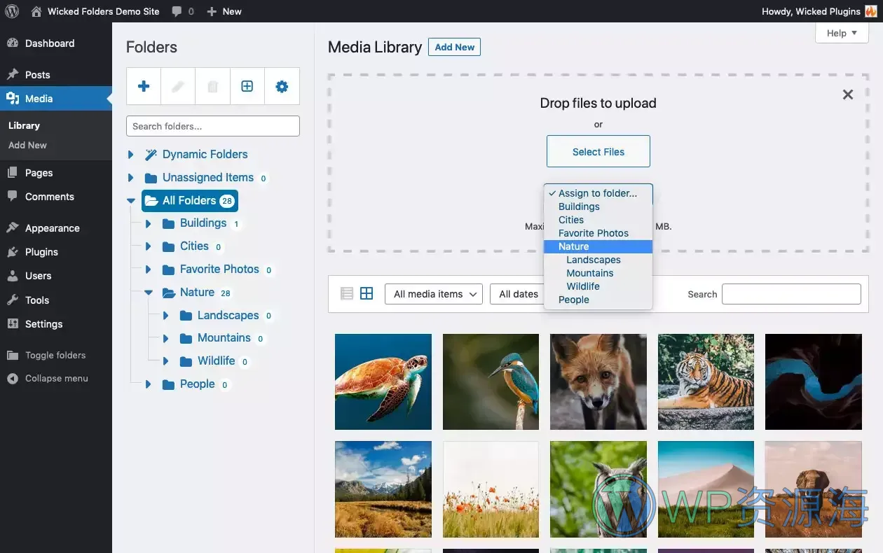 Wicked Folders Pro:WordPress 文件夹插件插图1-WP资源海 Wicked Folders Pro:WordPress 文件夹插件插图1-WP资源海