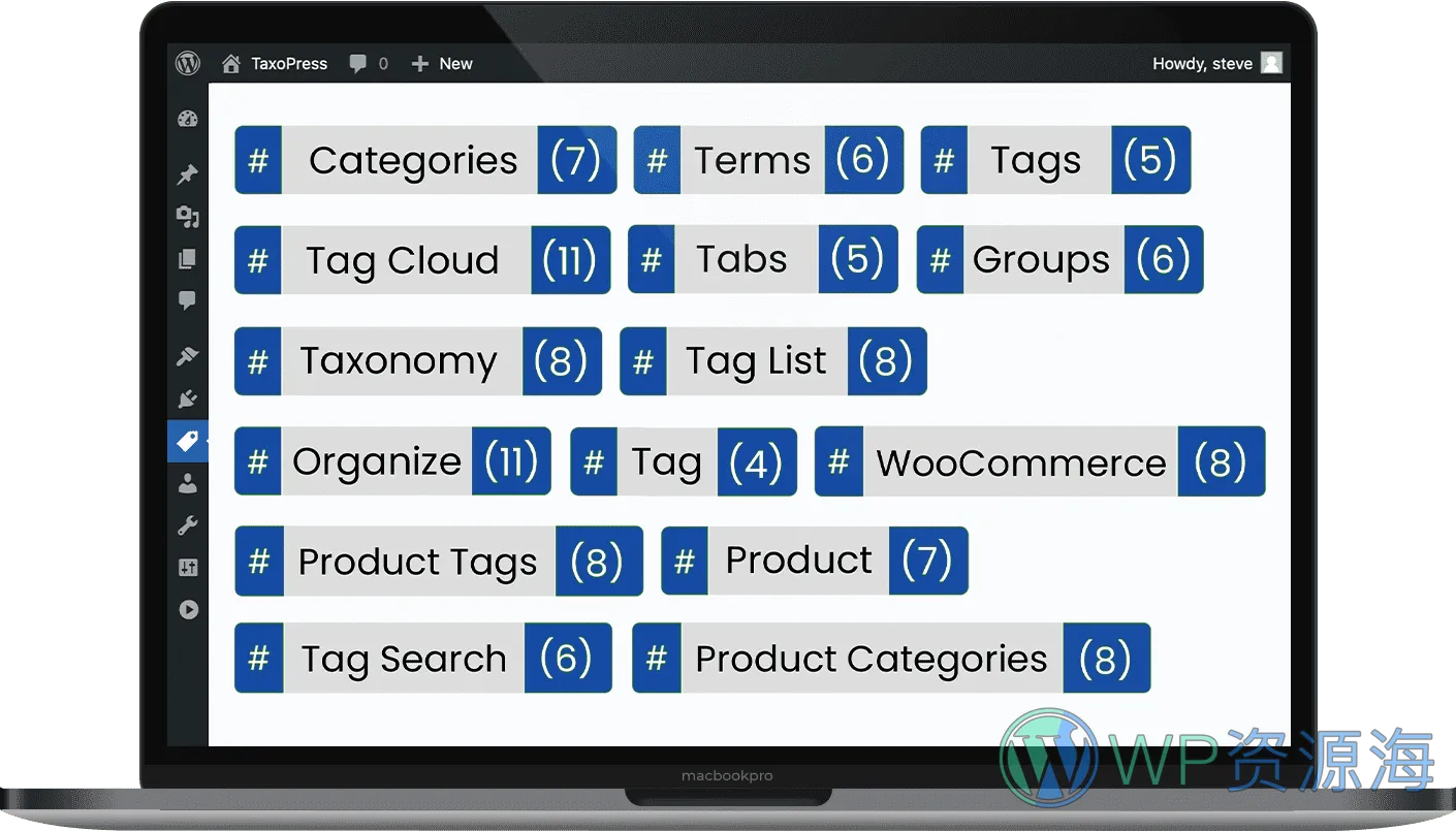 TaxoPress Pro:自动管理 WordPress 内容术语 插件插图-WP资源海 TaxoPress Pro:自动管理 WordPress 内容术语 插件
