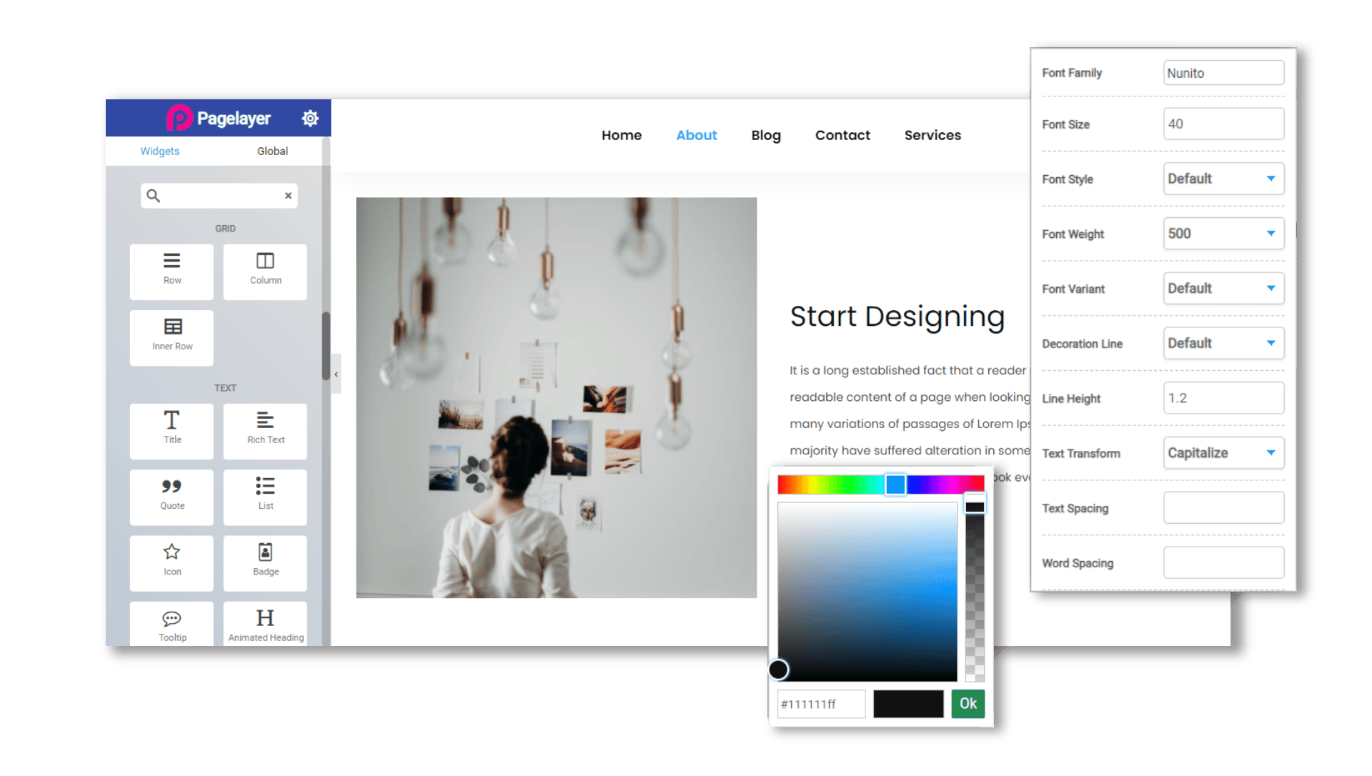 Pagelayer Pro 页面构建 WordPress 插件