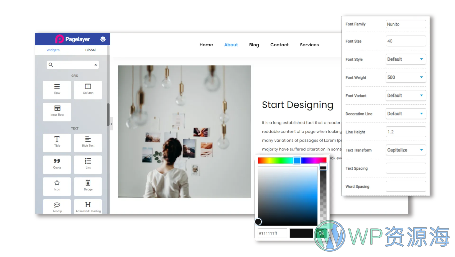 Pagelayer Pro 页面构建 WordPress 插件插图-WP资源海 Pagelayer Pro 页面构建 WordPress 插件