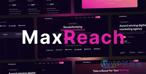 MaxReach SEO 与数字营销 WordPress 主题插图-WP资源海 MaxReach SEO 与数字营销 WordPress 主题