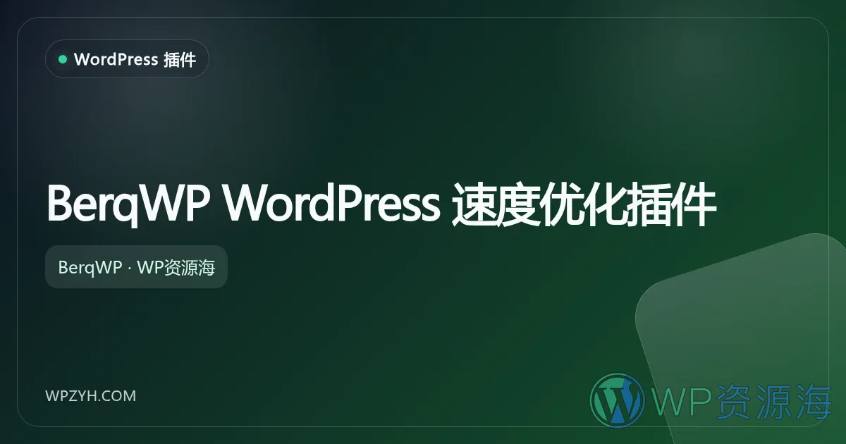BerqWP WordPress 速度优化插件插图-WP资源海 BerqWP WordPress 速度优化插件