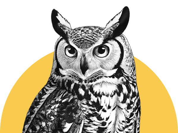 Novamira Pro 完整的执行权限 WordPress 插件