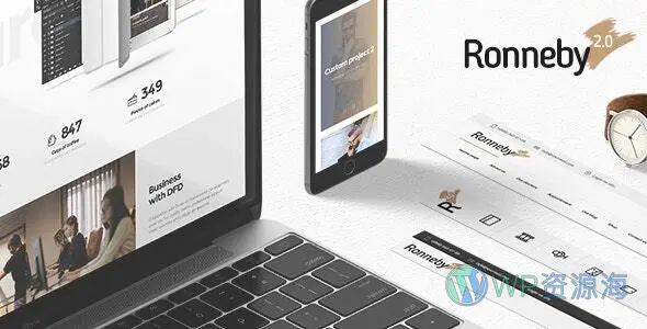 Ronneby 高性能 WordPress 主题插图-WP资源海 Ronneby 高性能 WordPress 主题