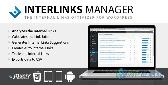 Interlinks Manager 内部链接优化 WordPress 插件插图-WP资源海 Interlinks Manager 内部链接优化 WordPress 插件