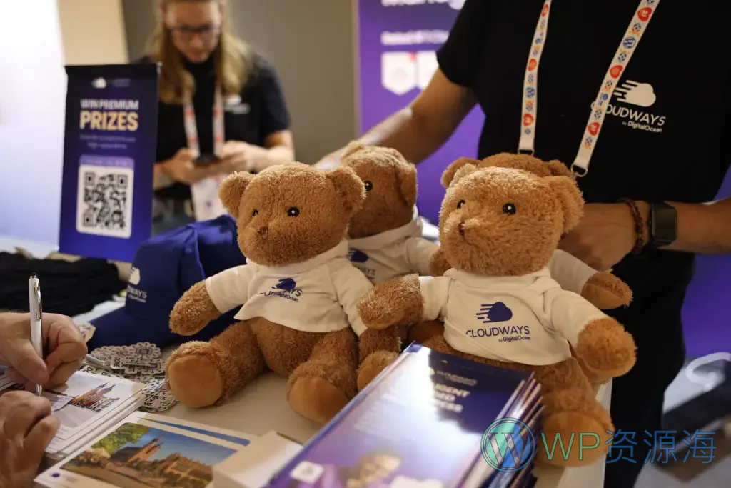 WordCamp Europe 2026 克拉科夫活动回顾插图8-WP资源海 WordCamp Europe 2026 克拉科夫活动回顾