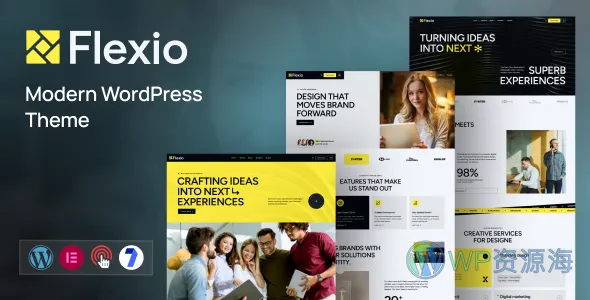 Flexio 初创与数字机构 WordPress 主题插图-WP资源海 Flexio 现代 WordPress 主题