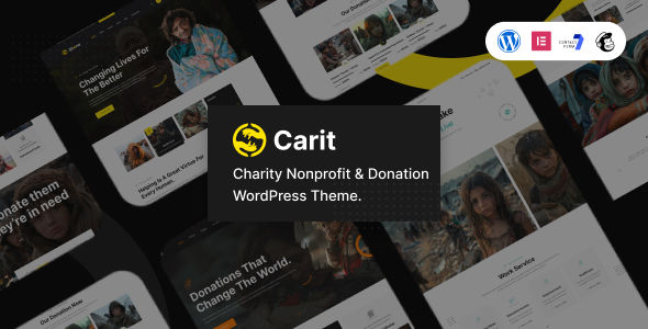 Carit 慈善捐赠 WordPress 主题