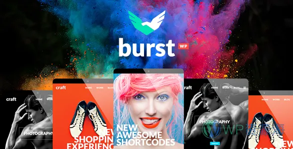 Burst 创意设计机构 WordPress 主题插图-WP资源海 Burst 创意设计机构 WordPress 主题