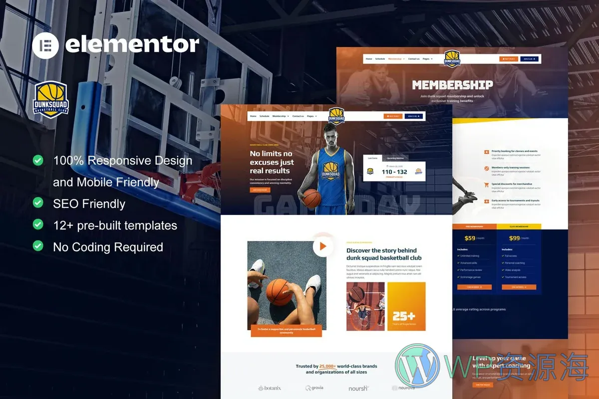 篮球队与运动俱乐部Elementor网站模板_一键导入快速建站插图-WP资源海 运动/健身 Elementor 网站模板封面