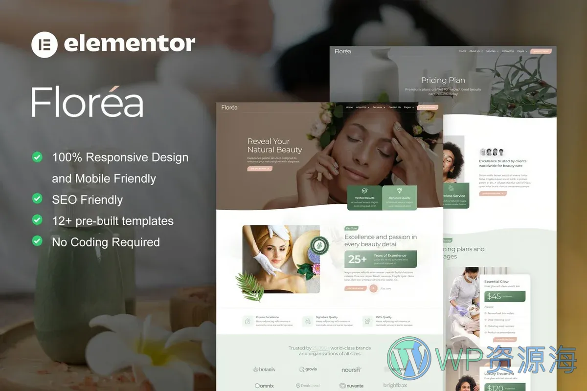 美容护理服务Elementor网站模板_一键导入快速建站插图-WP资源海 美容/美发 Elementor 网站模板封面