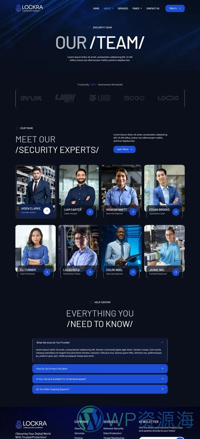 IT互联网 Elementor 模板团队页面预览