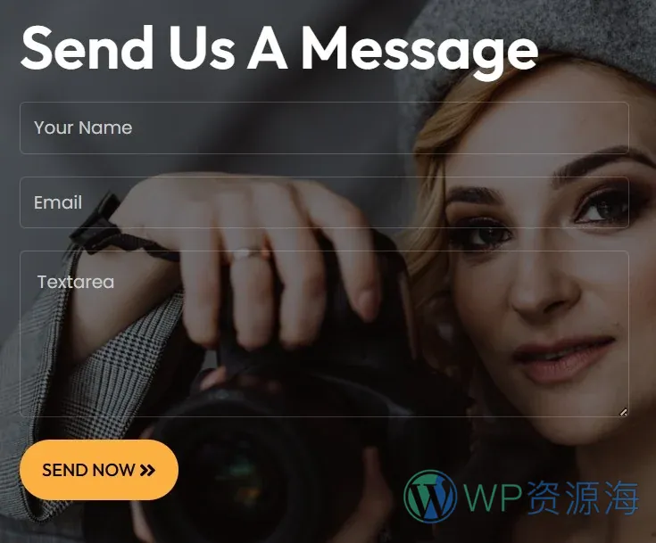 摄影Elementor网站模板_一键导入快速建站插图2-WP资源海 摄影 Elementor 模板联系表单预览