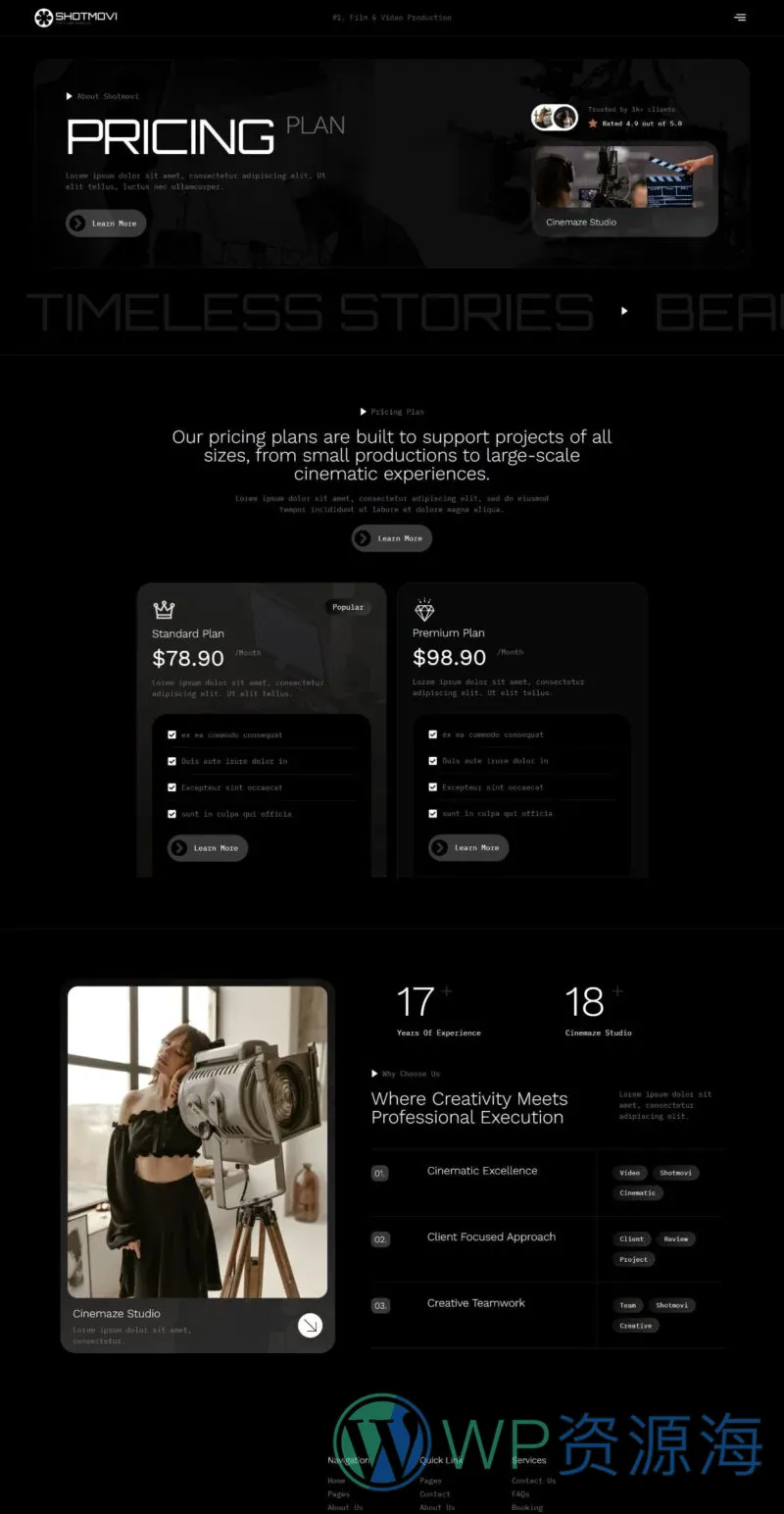影视视频制作Elementor网站模板_一键导入快速建站插图5-WP资源海 多媒体 Elementor 模板价格页面预览