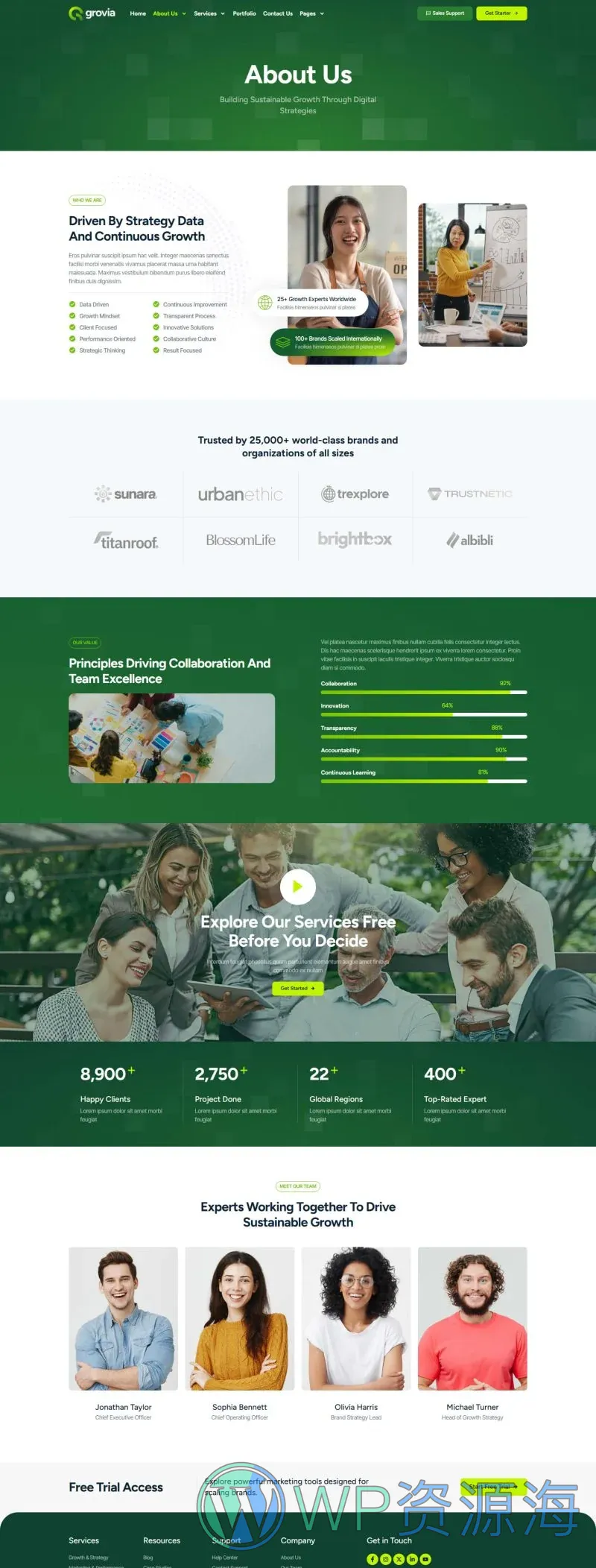 广告/营销 Elementor 模板关于我们预览