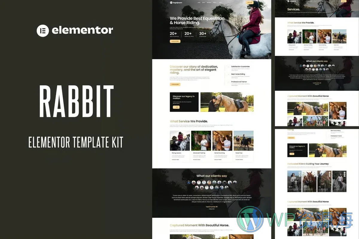 马术俱乐部Elementor网站模板_一键导入快速建站插图-WP资源海 运动/健身 Elementor 网站模板封面