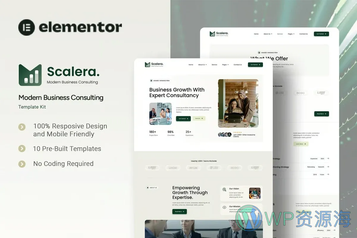 商业咨询Elementor网站模板_一键导入快速建站插图-WP资源海 服务/咨询 Elementor 网站模板封面