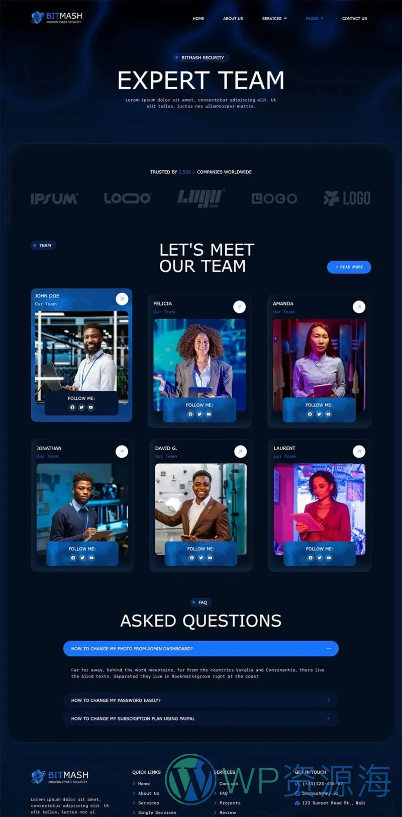 IT互联网 Elementor 模板团队页面预览