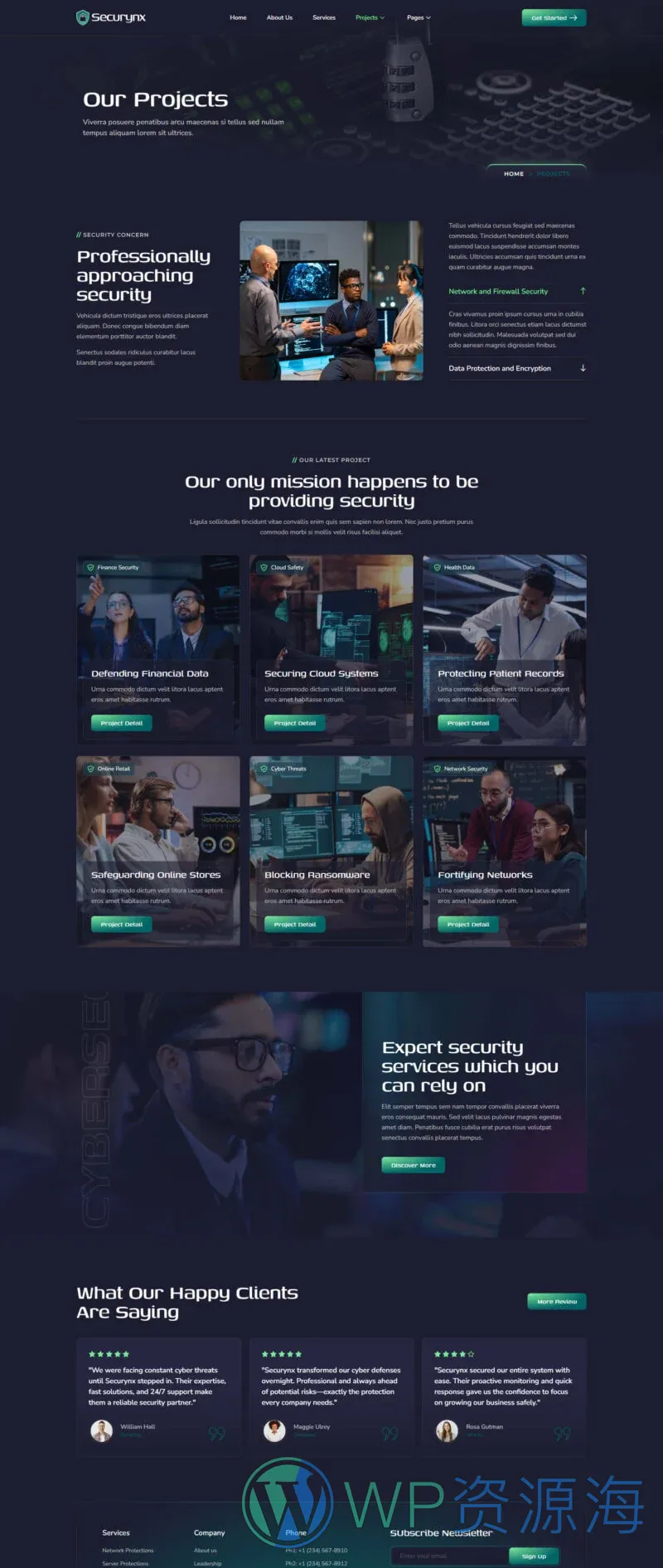 IT互联网 Elementor 模板项目案例预览