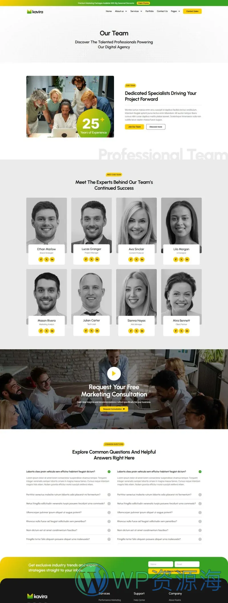 广告/营销 Elementor 模板团队页面预览