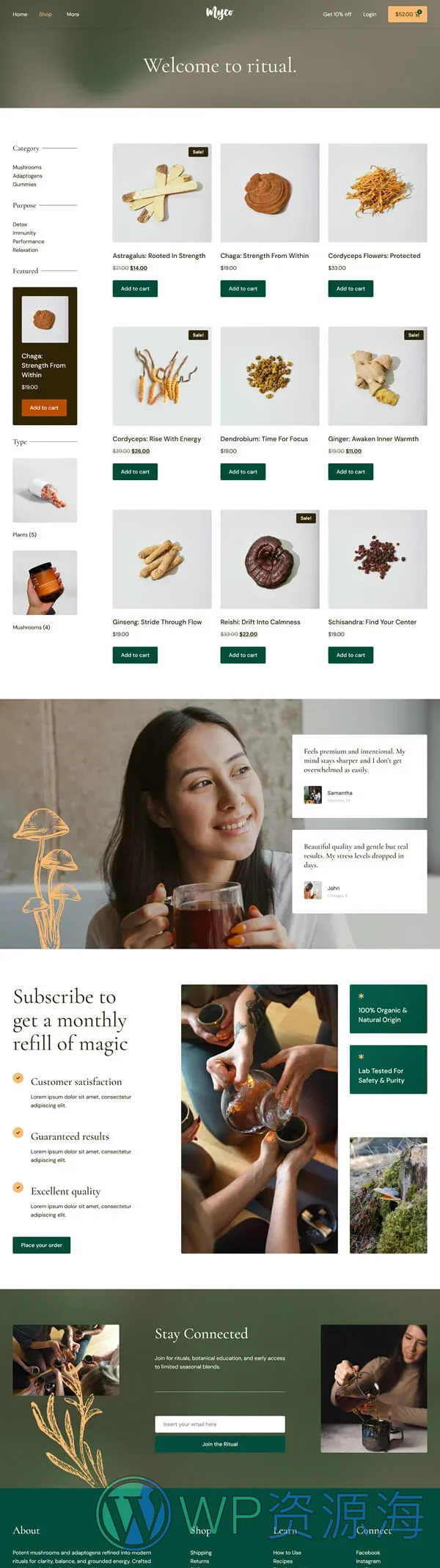 健康/医药 Elementor 模板商店页面预览