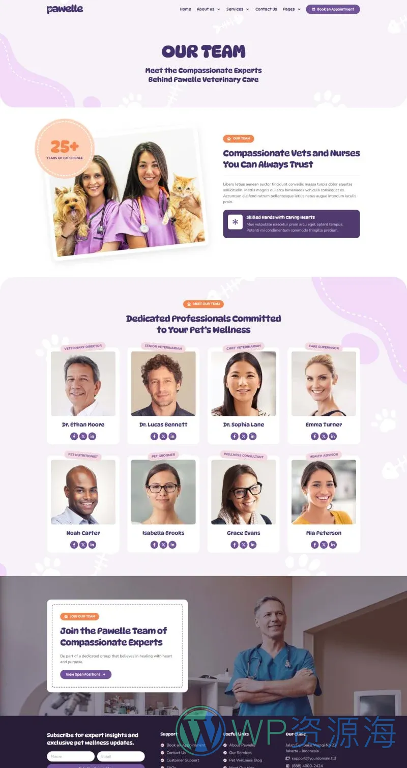 健康/医药 Elementor 模板团队页面预览