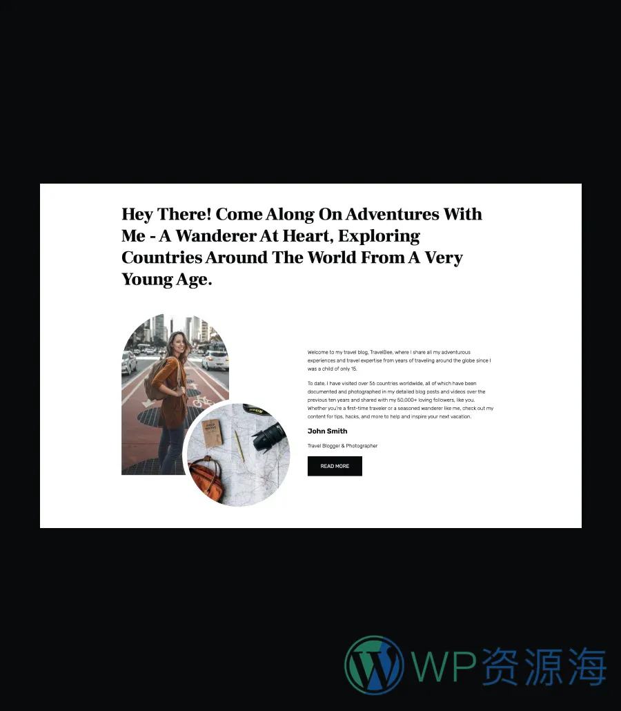 TravelBee Info Section