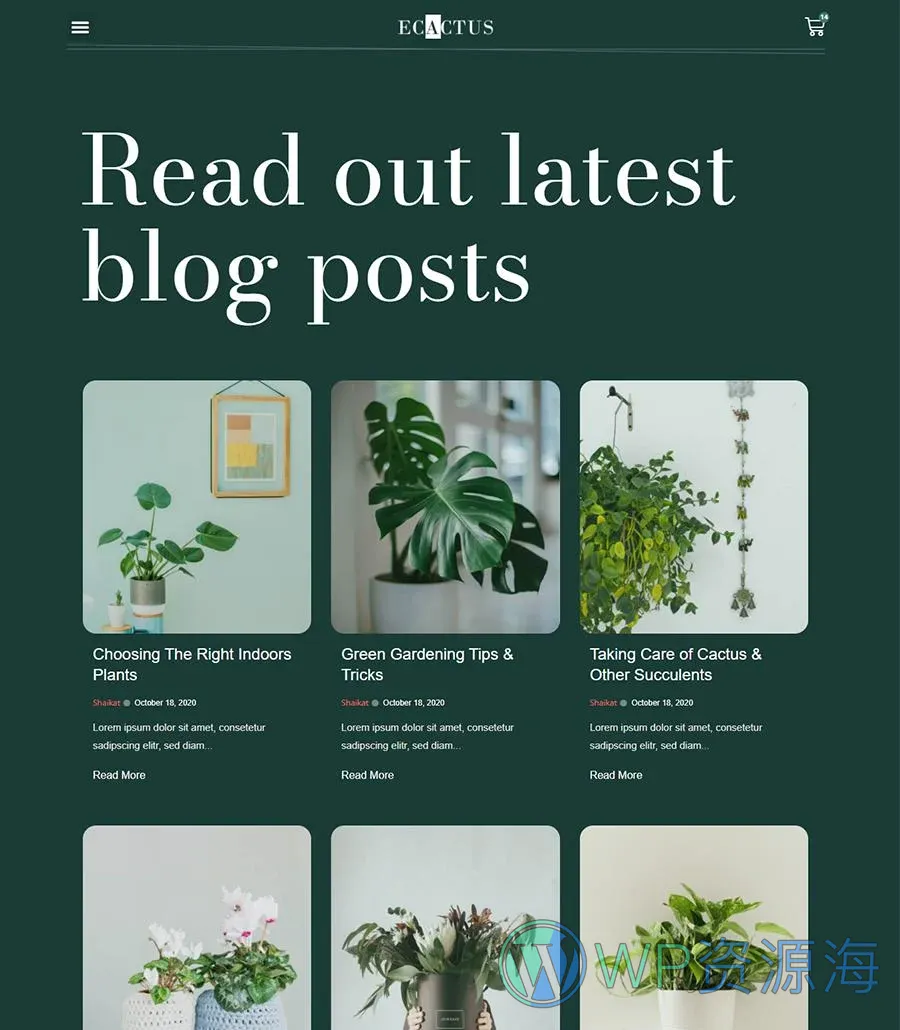 室内植物店Elementor网站模板_一键导入快速建站插图4-WP资源海 eCactus Blog Page