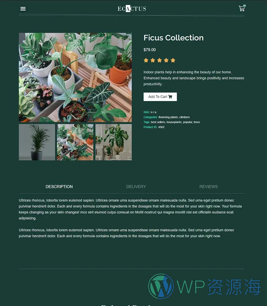 室内植物店Elementor网站模板_一键导入快速建站插图7-WP资源海 eCactus Plant Details Page