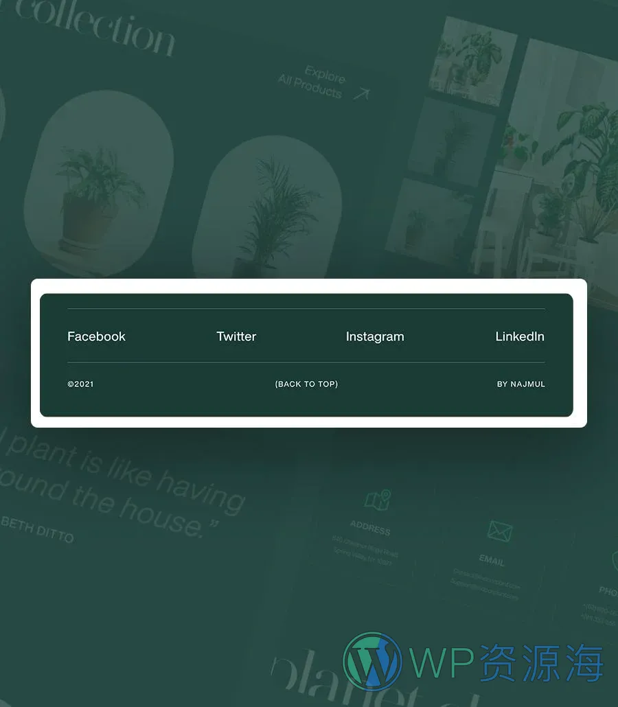 室内植物店Elementor网站模板_一键导入快速建站插图11-WP资源海 eCactus Footer