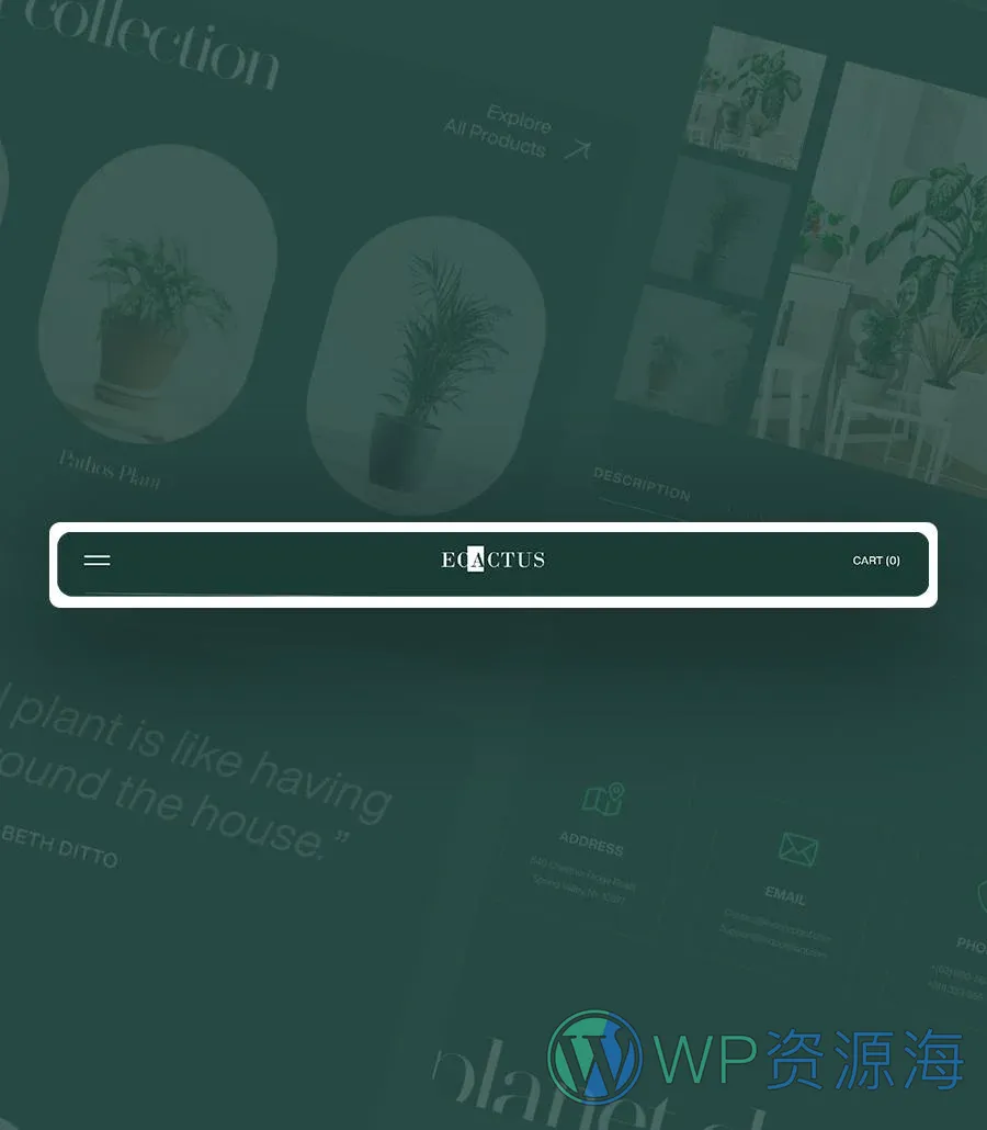 室内植物店Elementor网站模板_一键导入快速建站插图10-WP资源海 eCactus Header